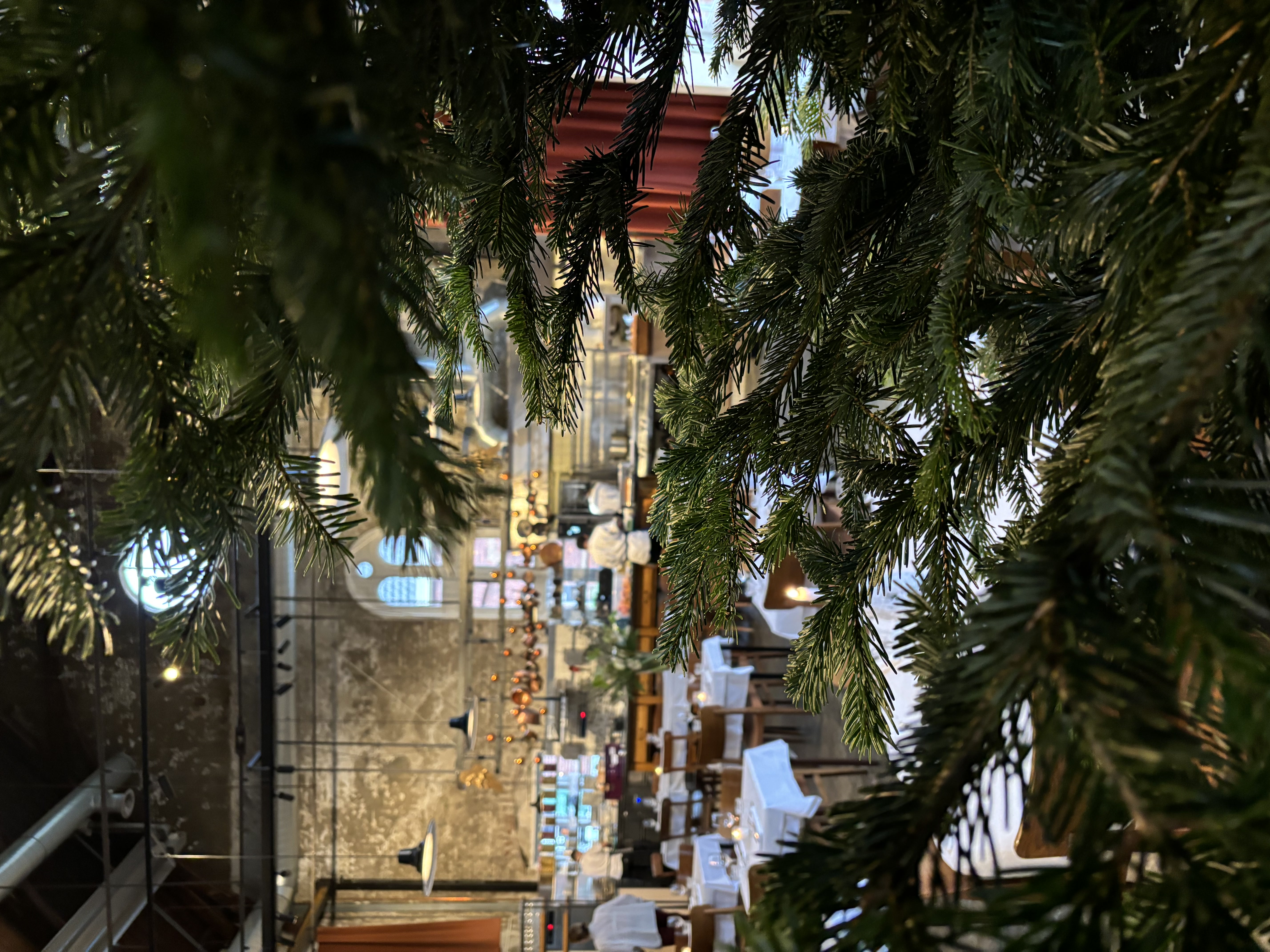 Nordmann 200-250 cm - foto 2